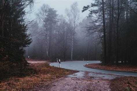 A Complete Guide to Fog Photography: 11 Tips & Ideas - Onedesblog