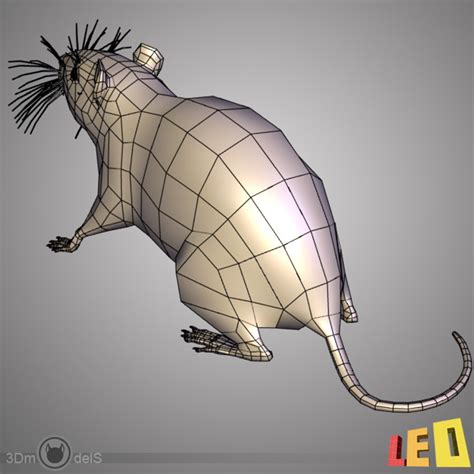 3d Model Rat