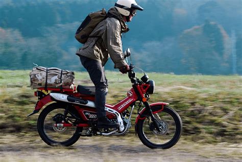 Honda Teases Adventure Side of Its New CT125 Hunter Cub - ADV Pulse