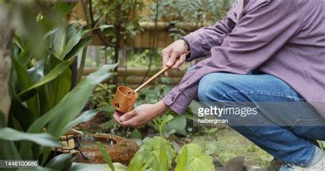 Chashitsu Garden Photos and Premium High Res Pictures - Getty Images