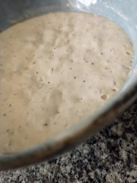 Sourdough Starter and Leaven - Delishably