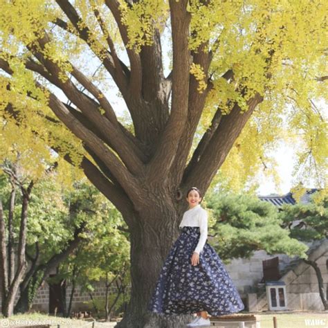 This Autumn, Visit Gyeongbokgung & Take Your Hanbok Shot!