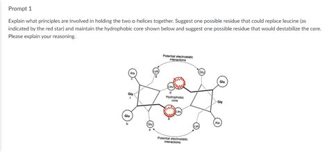 Leucine Zipper (shown below) is an example of a | Chegg.com