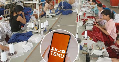 Is Temu a Sweatshop? Exploring the Reality of Sweatshop Claims [2024] - ViralTalky