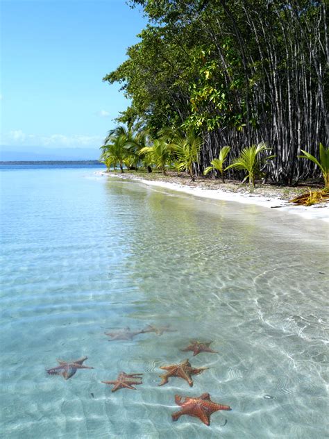 Playa de las Estrellas, Bocas del Toro, Panama photo on Sunsurfer