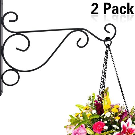 Top 10 Best Wall Mount Plant Hangers in 2024 Reviews | Buyer's Guide