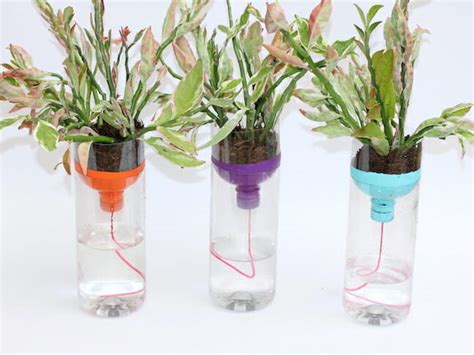 Plastic Bottle Recycling Project: DIY Self Watering Planters