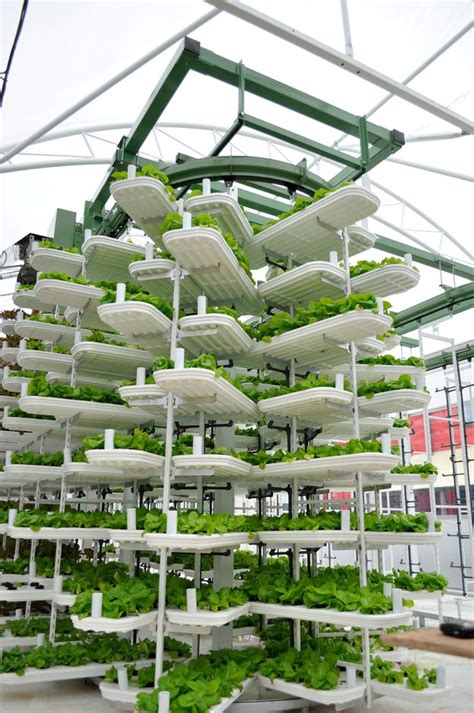 greenhouse - Pesquisa do Google | Vertical farming, Aquaponics, Greenhouse plans