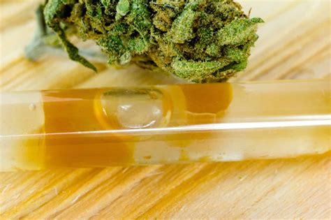 10 Surprising Cannabis Oil Benefits - Quantum 9, Inc.