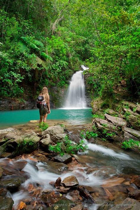 The lower falls of Tiger Fern Falls, Cockscomb Basin Wildlife Sanctuary ...