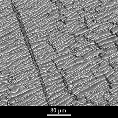 Crazing near a fracture surface in polycarbonate | DoITPoMS,… | Flickr