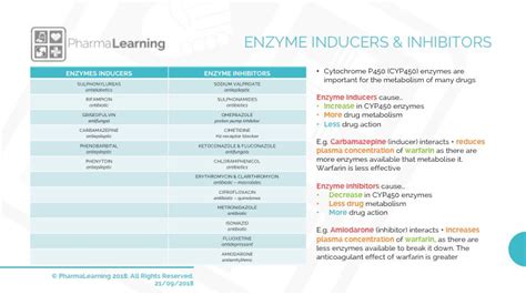 Examples Of Enzyme Inducers And Inhibitors