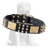 Perfect Spiked Leather Dog 【Collar】 with Brass Massive Plates&Spikes ...