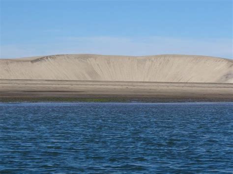 Magdalena Bay (Baja California) - 2018 All You Need to Know Before You ...