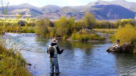 What Do You Catch Fly Fishing in Montana? - Guide Recommended