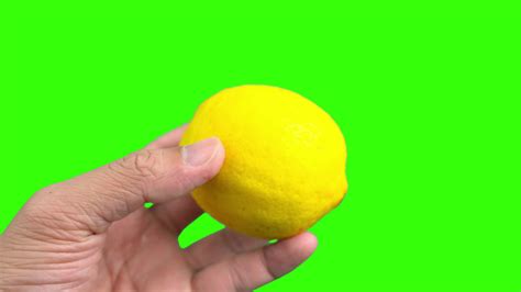 Green screen, lemon, green screen of lemon, lemon fruit, hand holding lemon 23796295 Stock Video ...