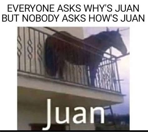 Juan el caballo : r/memes