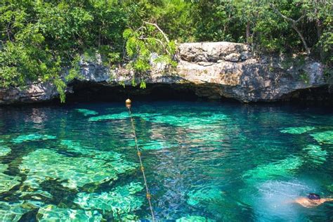 5 Best Cenotes in Playa del Carmen