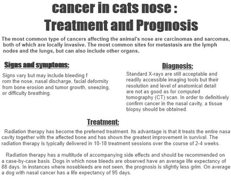 Cat Nose Cancer Life Expectancy - Cat Meme Stock Pictures and Photos