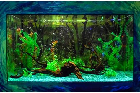 Best Wall Mounted Fish Tanks in 2022: Reviews with Comparisons - Fish Informer