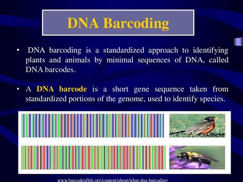 DNA BarcodING IN ANIMALS