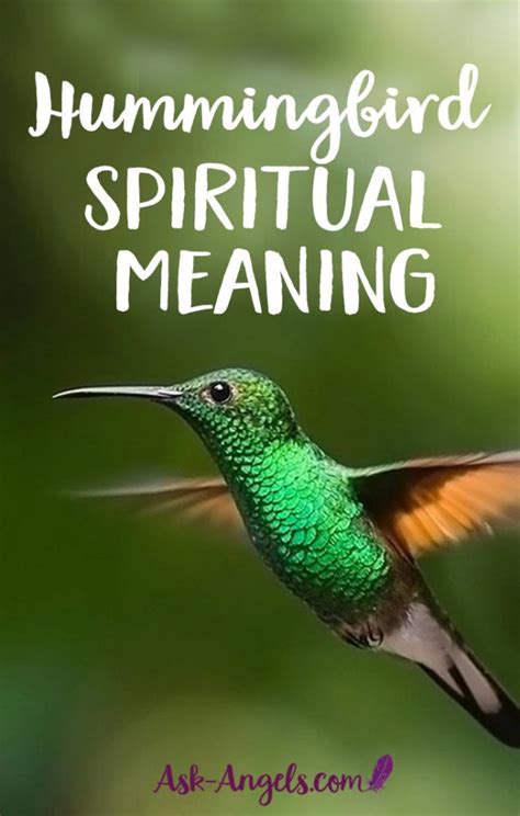 4 Hummingbird Meanings – Learn about Hummingbird Symbolism