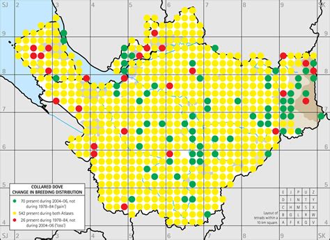 Collared Dove breeding distribution maps