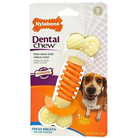 Nylabone Pro Action Dental Chew | Dog dental chews, Dental, Dog dental health