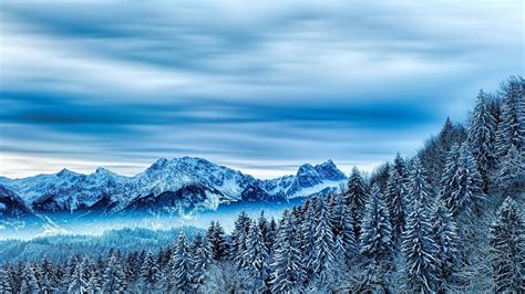 Winter Wallpapers HD kaufen – Microsoft Store de-DE