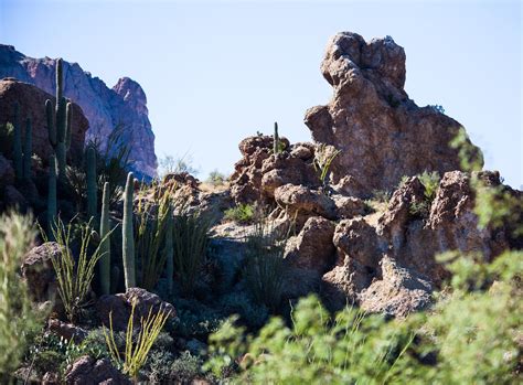 Walking Arizona: A Rocky Desert Outcrop