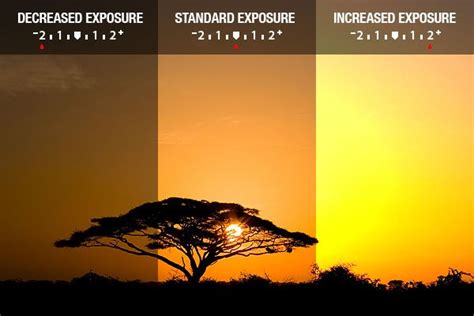 Understanding Camera Exposure: ISO, Aperture, and Shutter Speed Explained