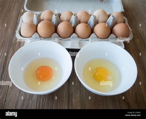 Organic pasture farm eggs vs conventional eggs: A side-by-side ...