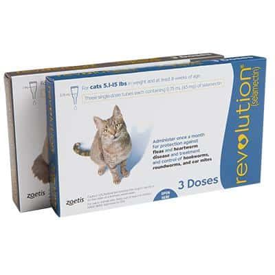 Revolution Topical Solution for Cats | 1Family 1Health Pharmacy