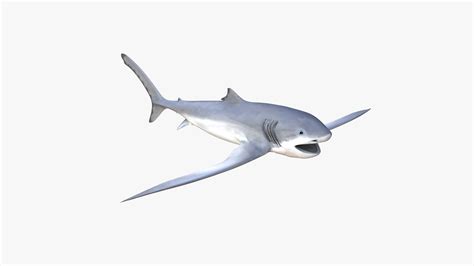 3D Eagle Shark Aquilolamna milarcae Fossil and Reconstruction Set model - TurboSquid 1716979