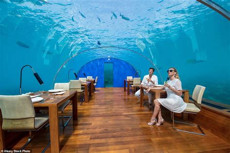 Amazing underwater hotel rooms, restaurants and spas, from Dubai to the Maldives - healthyfrog