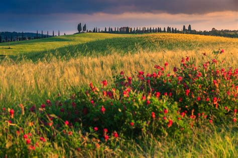 Tuscany in April: Travel Tips, Weather, & More | kimkim