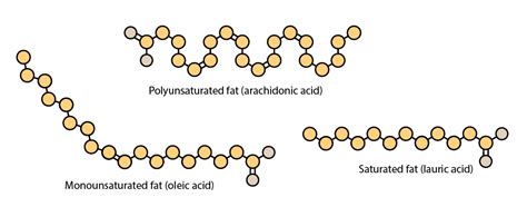 Monounsaturated Fats Structure