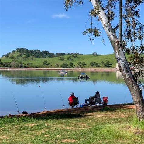 Eleven Tagged Fish Caught in Lake McSwain Trout Derby in Mariposa County - Largest Trout was ...