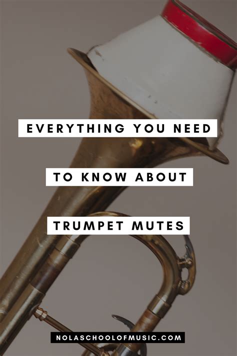 Everything You Need To Know About Trumpet Mutes in 2021 | Trumpet mute, Trumpet, Muted