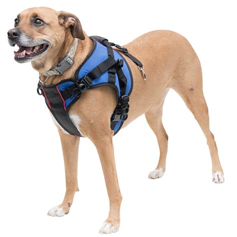 Walkin' Lift Combo Front Dog Harness for Mobility | Helps Dogs with ...