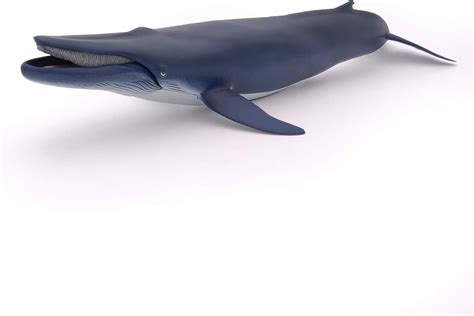 Papo 56037 Blue whale MARINE LIFE Figurine, Multicolour: Amazon.co.uk: Toys & Games