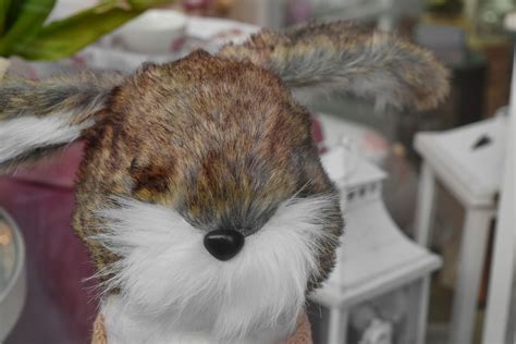 Free picture: bunny, plush, rabbit, toys, toyshop, animal, fur, cute
