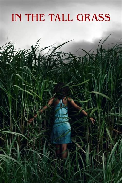 Synopsis: In the Tall Grass Movie Review – VISADA.ME