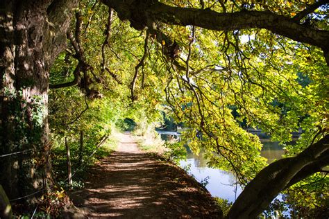 Best London Walks | Walking Routes in London for Spring | Culture