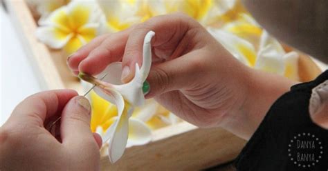 How to make a Frangipani Lei – Danya Banya