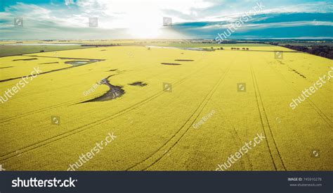 Aerial Panorama Canola Field Sunset Stock Photo 745910278 | Shutterstock