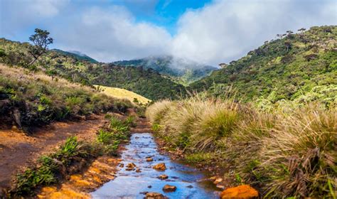 Horton Plains National Park | Hill Country activities | Red Dot Tours