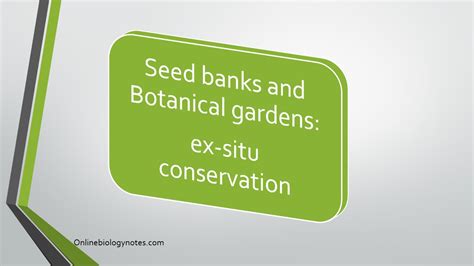 Seed banks and Botanical gardens: ex-situ conservation - Online Biology ...