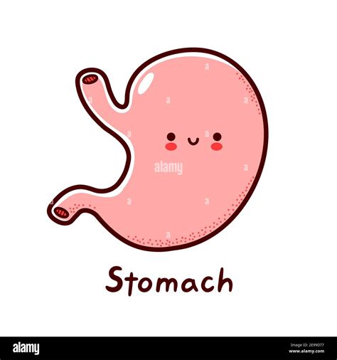 Cute happy funny human stomach organ character. Vector flat line ...