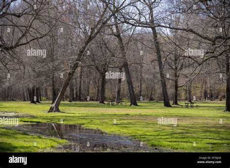 A photo taken of an empty picnic area in Great Falls Park on a dpring morning Stock Photo - Alamy